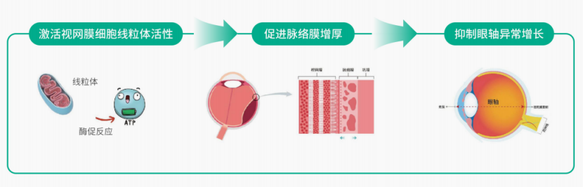文章插图
